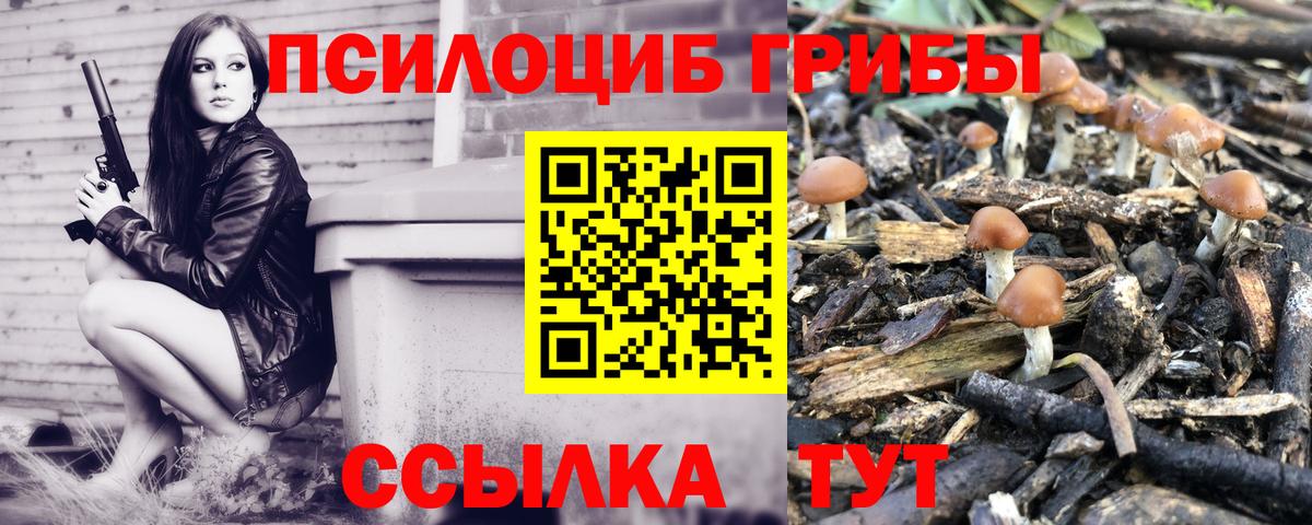 Муром  Галлюциногенные грибы ЛСД  Вход с VPN 