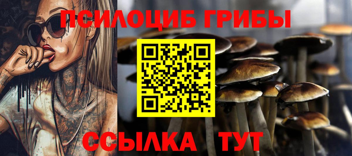 А ПВП Муром