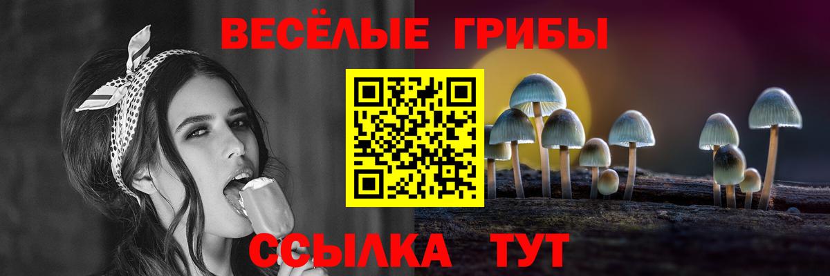 Псилоцибиновые грибы MAGIC MUSHROOMS Муром
